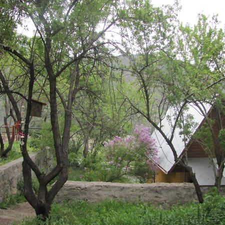 Refugio Coyoacán Guayacan (Cordillera) Exterior foto
